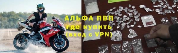 трава Лабытнанги