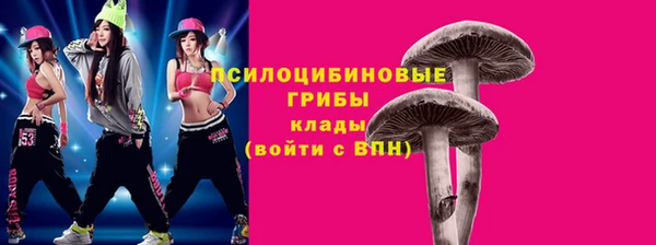 трава Лабытнанги