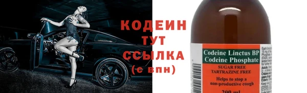 трава Лабытнанги