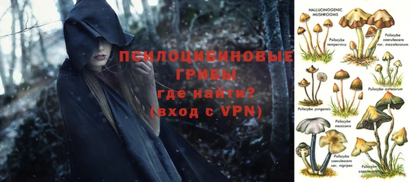 индика Братск